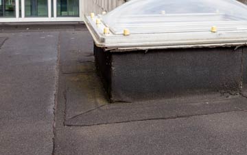 disadvantages of High Etherley flat roofs