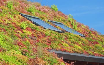 High Etherley living roof systems